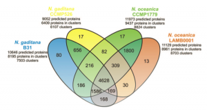 venn_protein_clusters